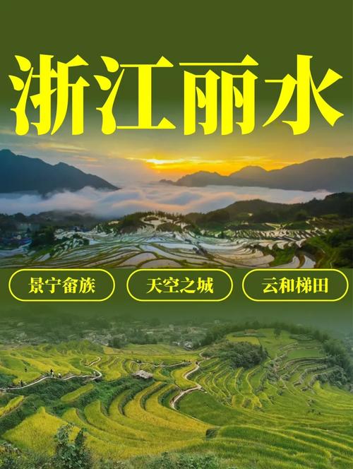 麗水與陜西企業網站建設與網絡推廣全攻略 從搭建到推廣的一站式解決方案